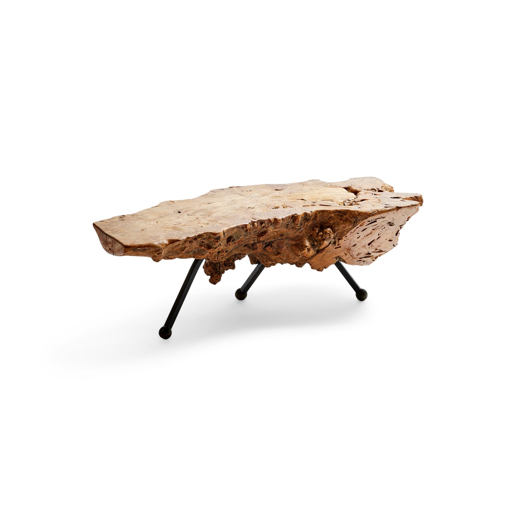 Sabino Burl Low Table
