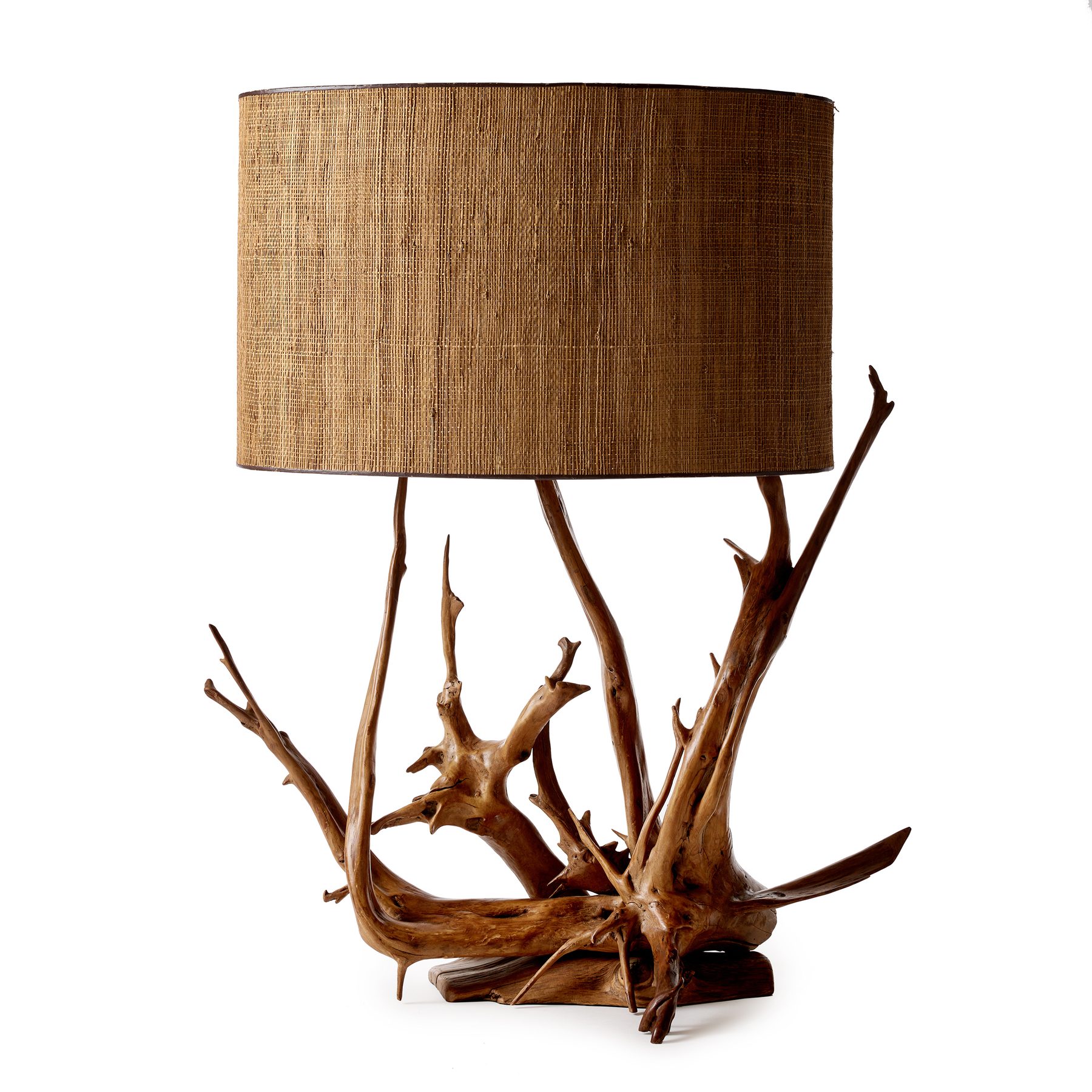 Epic Driftwood Lamp