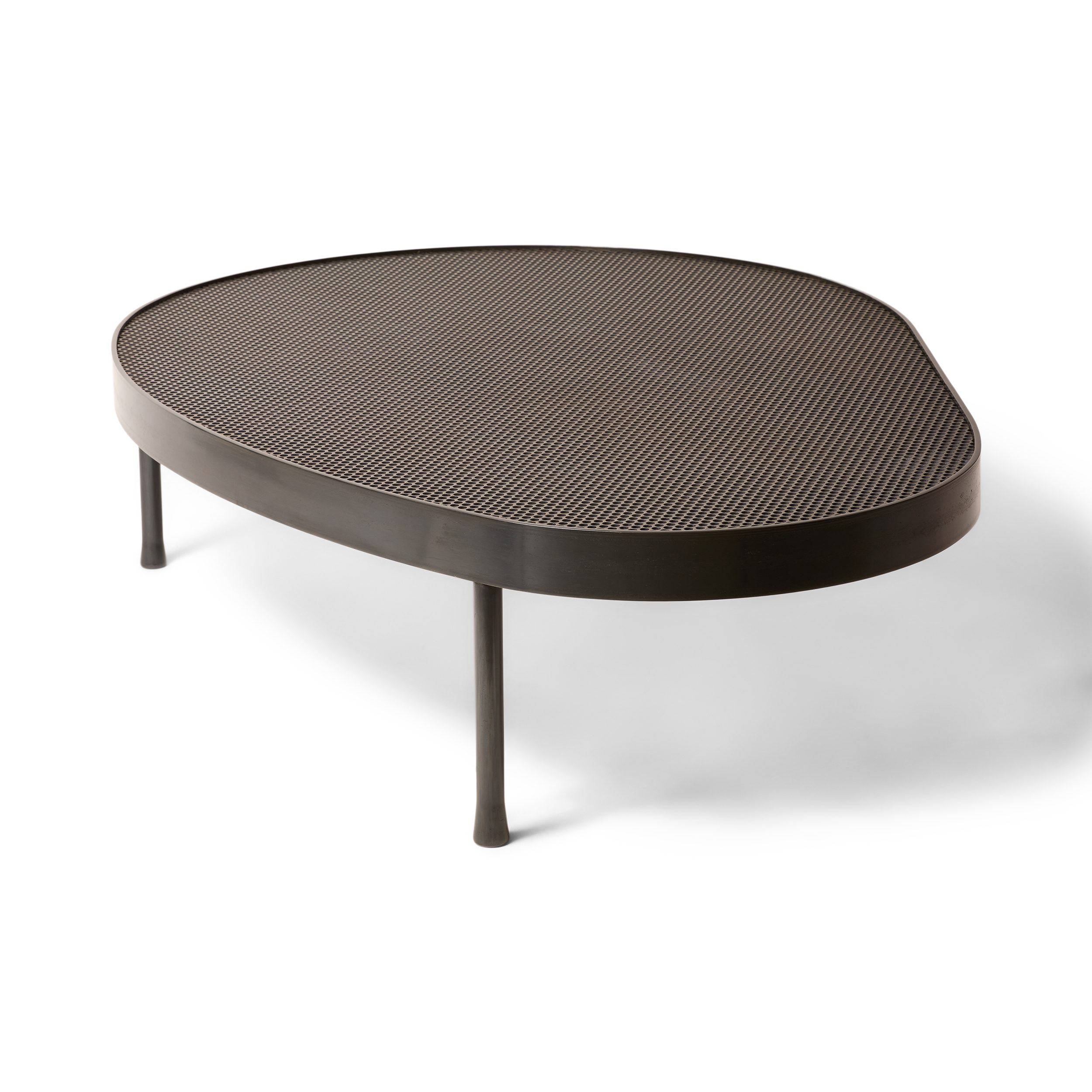 Biomorphic Steel Low Table
