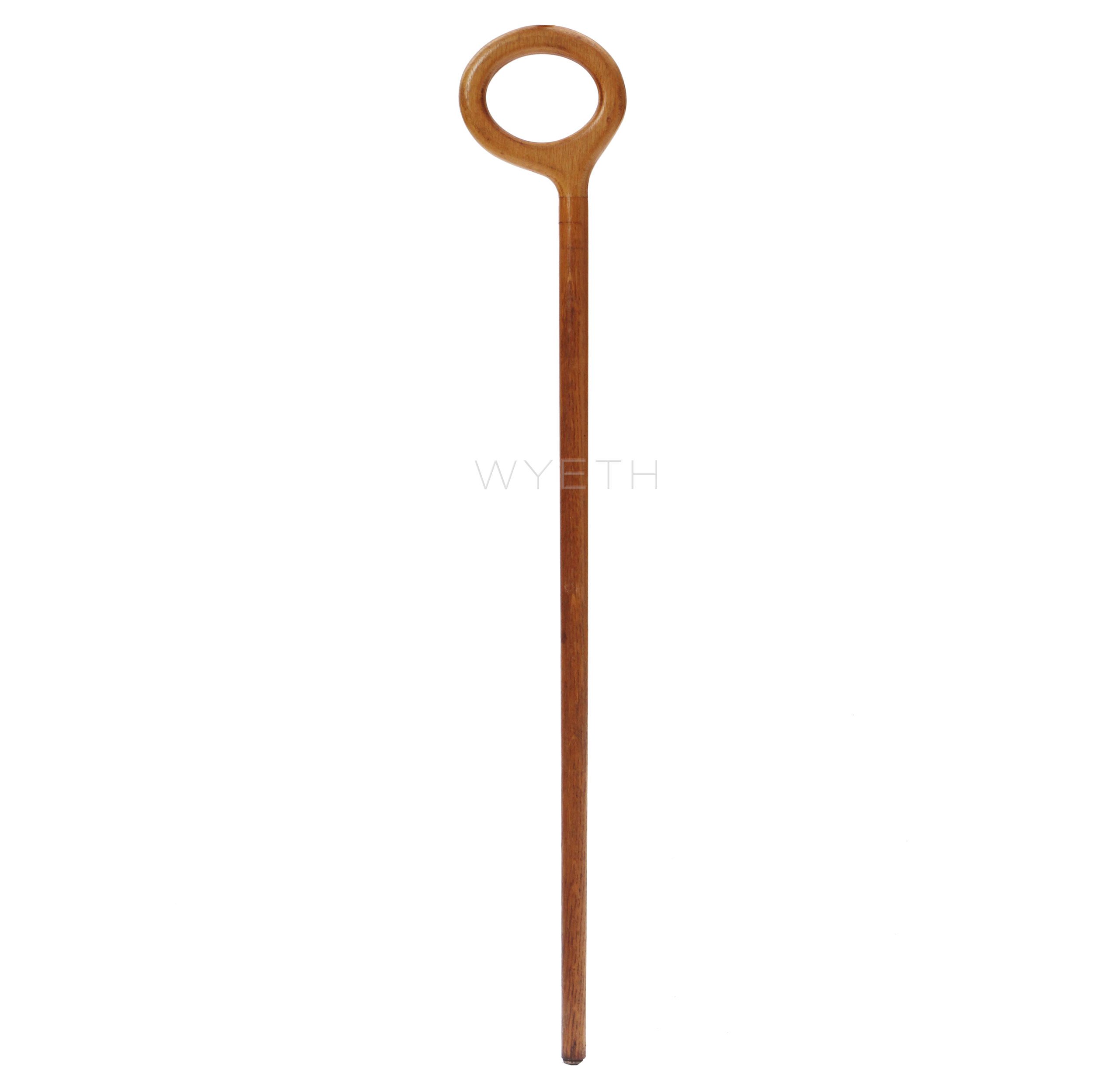 Walking Stick