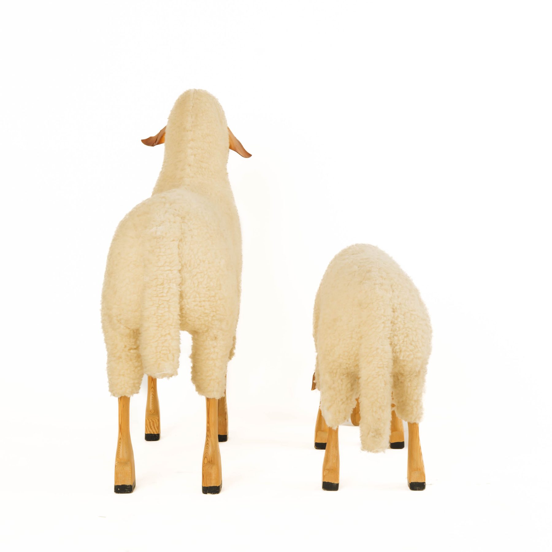 Pair of Sheep