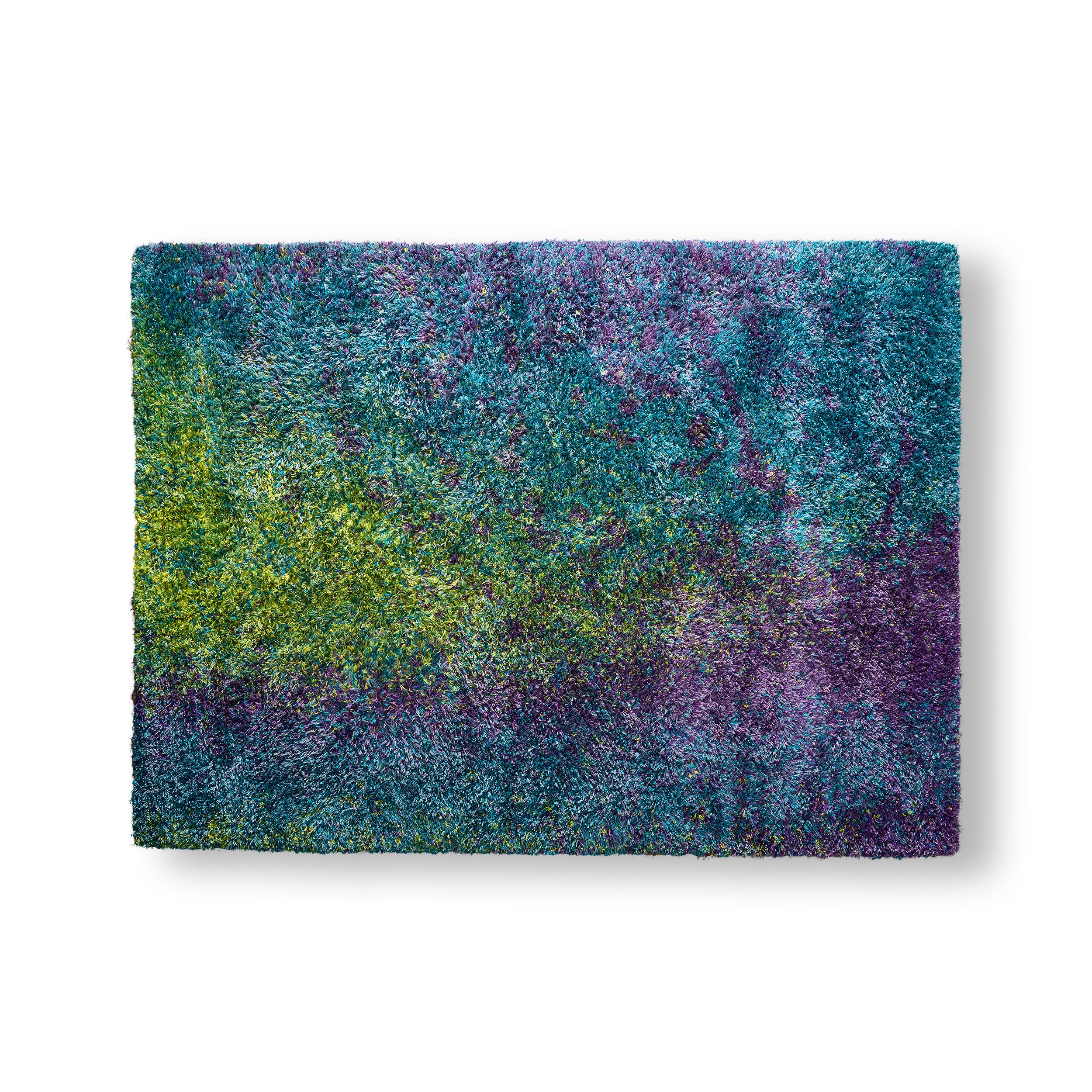 Colorful Shag Carpet