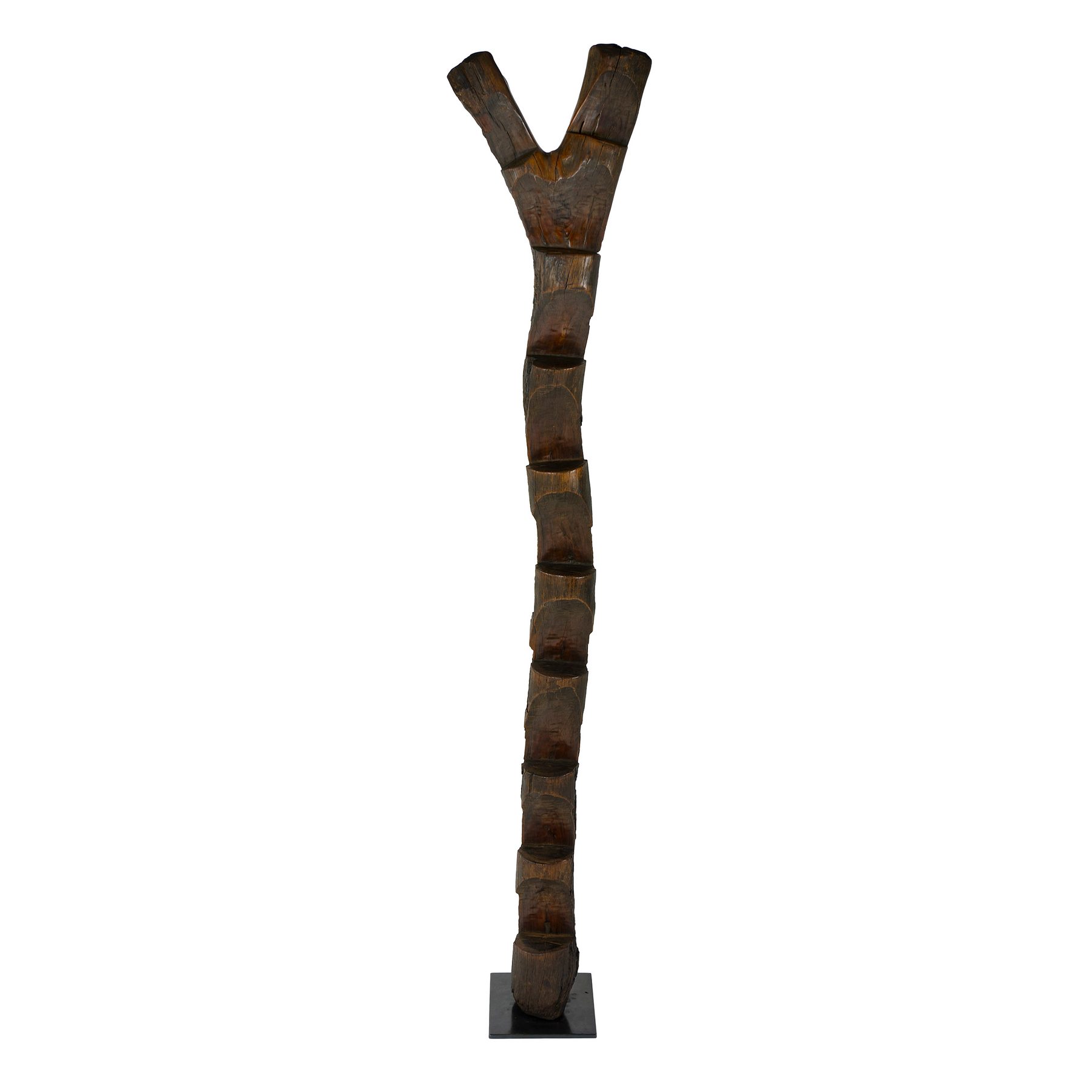 Tribal Ladder