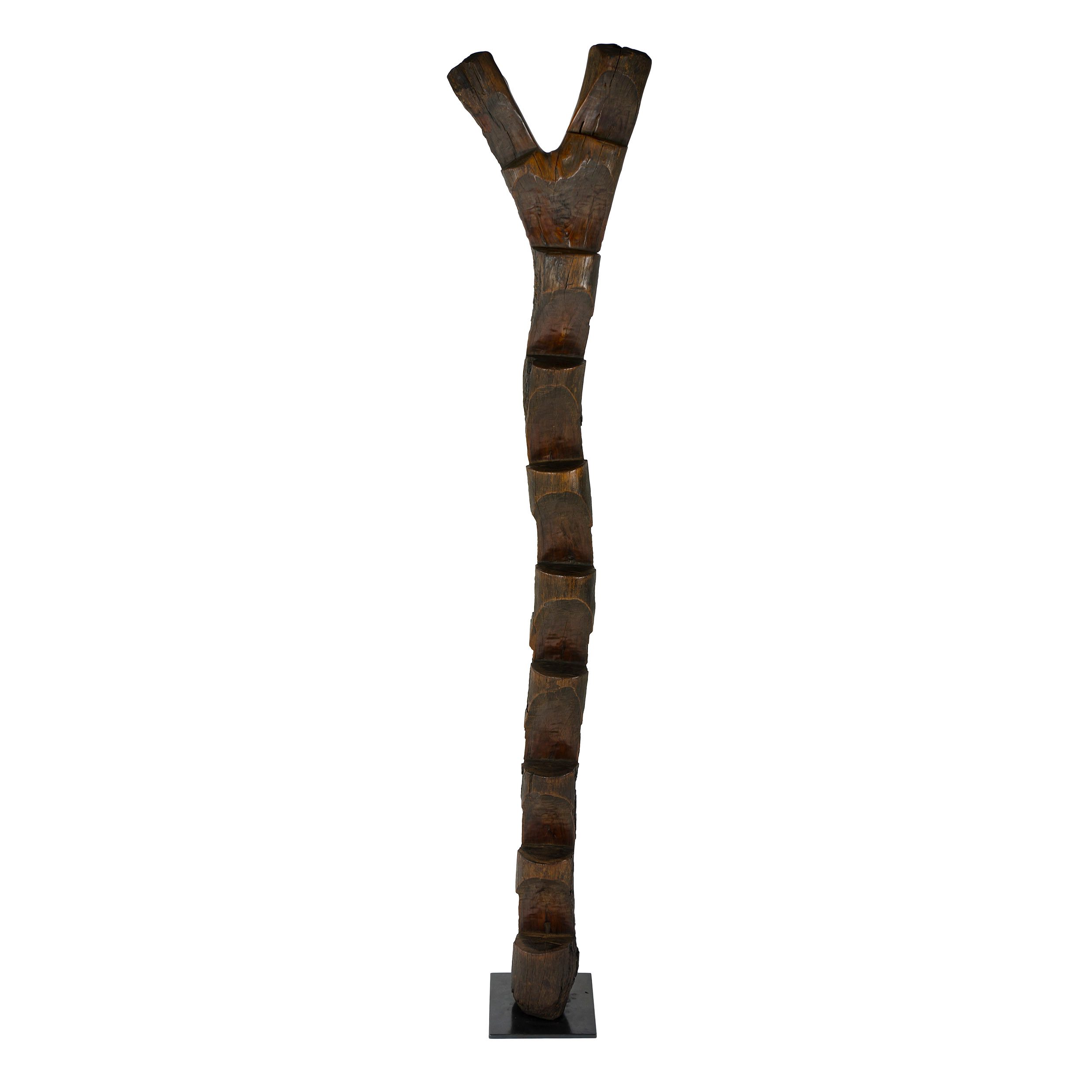 Tribal Ladder