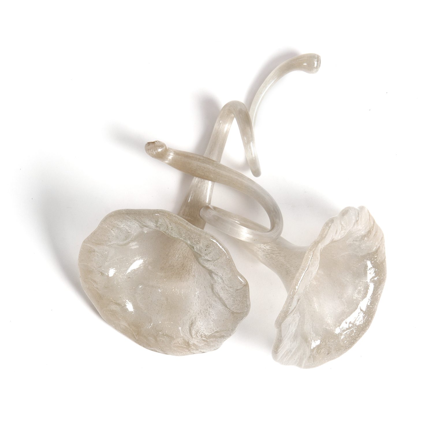 Blown Glass Flowers