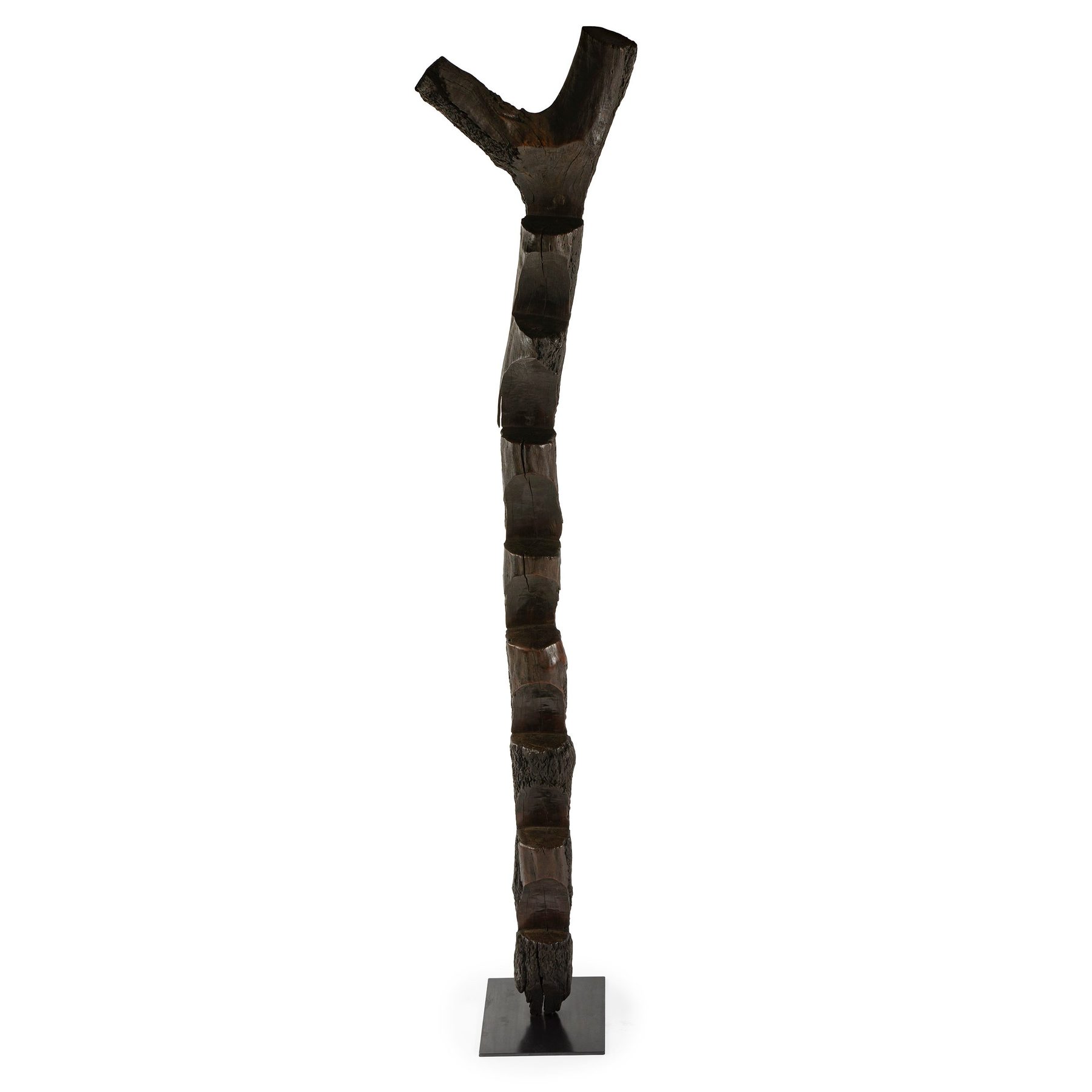 Tribal Ladder