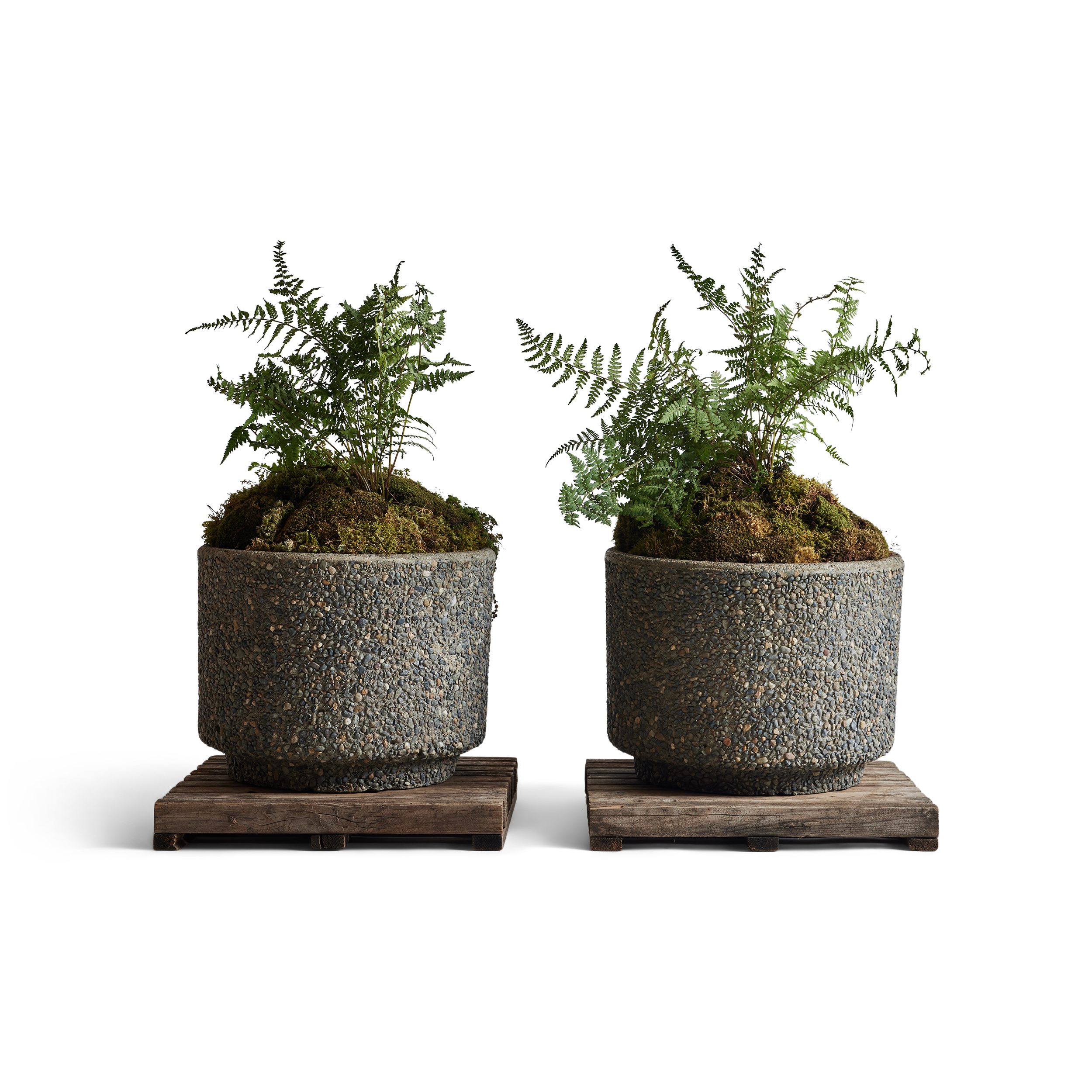 Cement And Pebble Planters